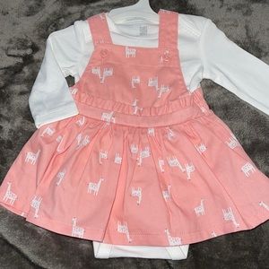 Carter’s Pink Giraffe Overall Dress